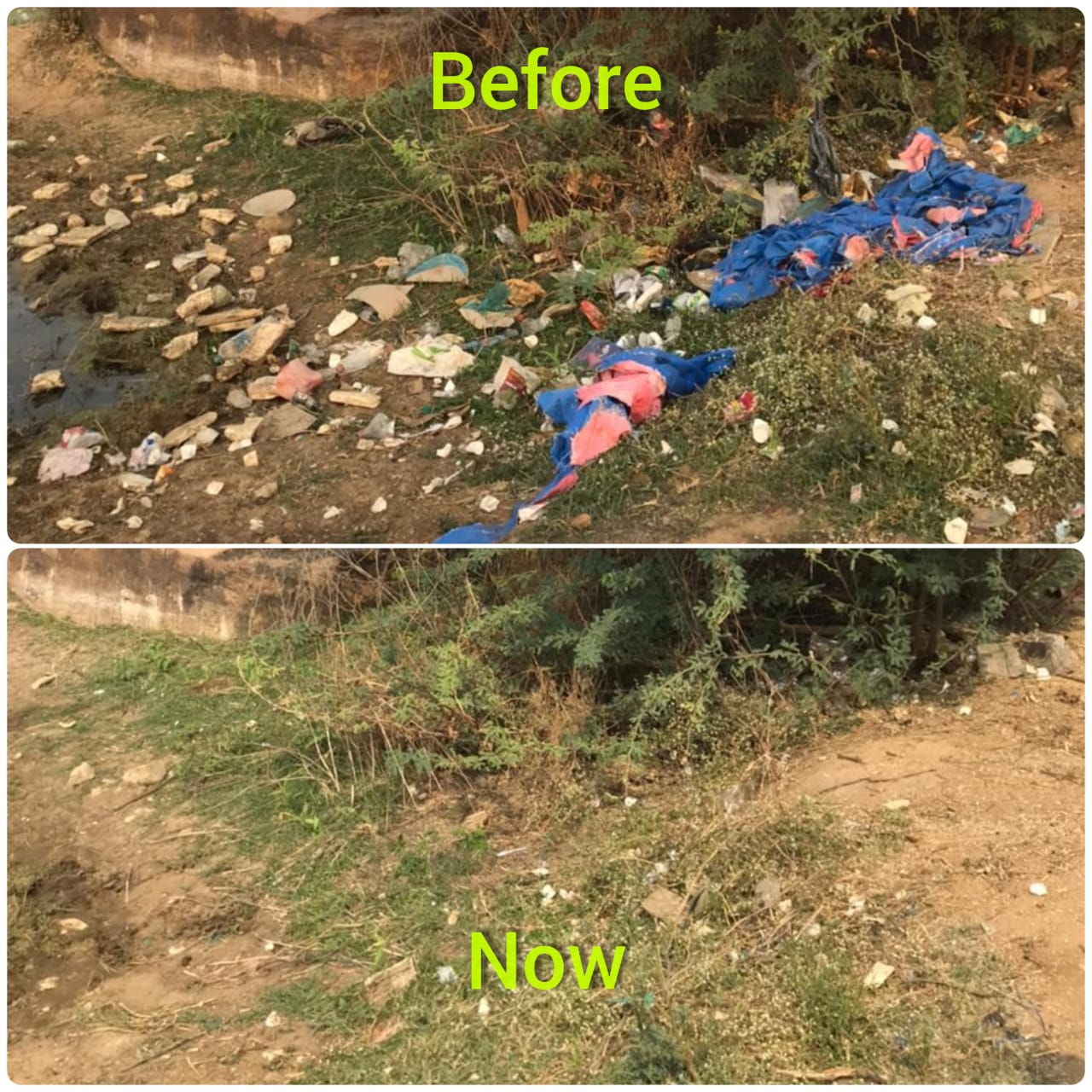 #1 - #5 Cleanup Drives, Ameenpur Lake, Hyderabad, India.