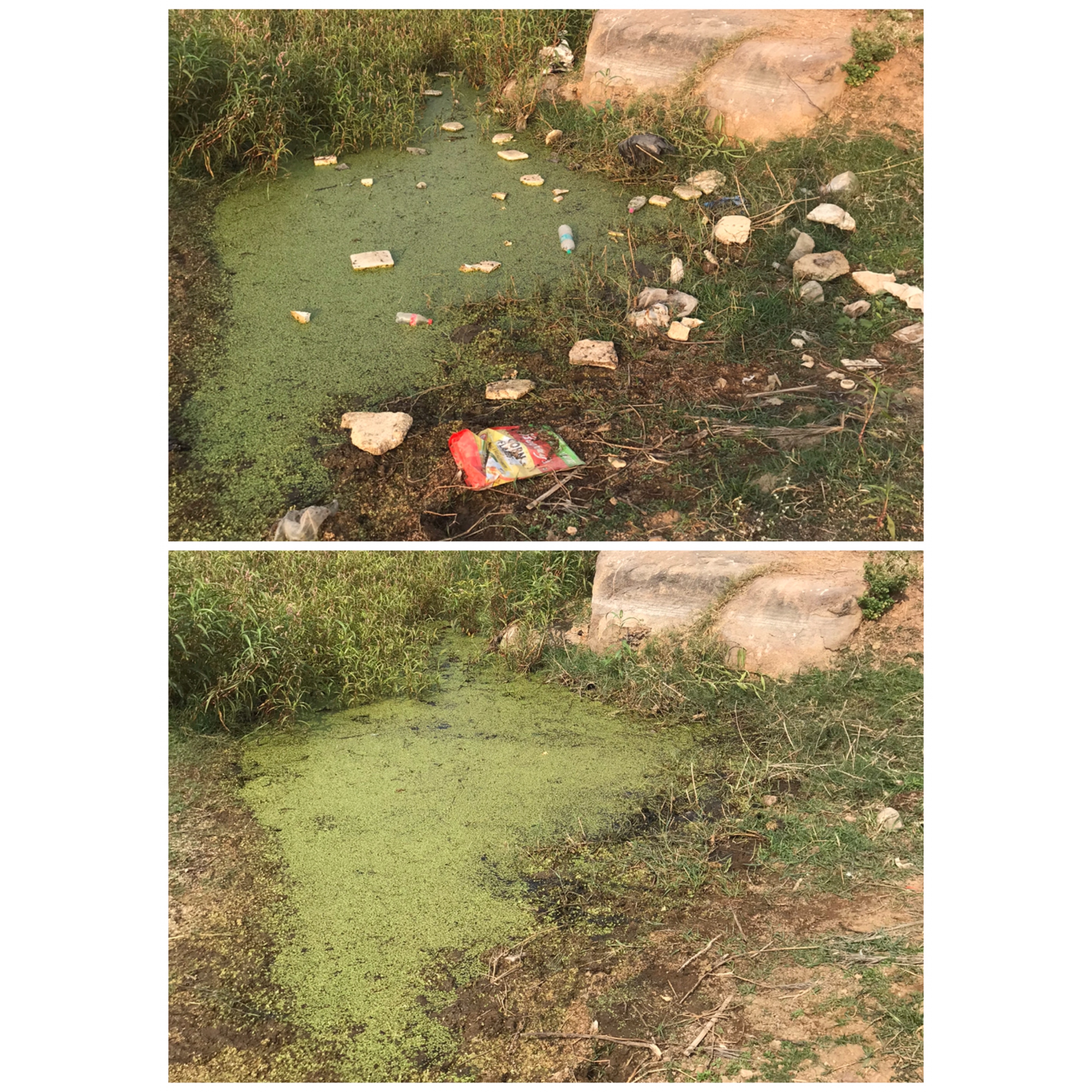 #1 - #5 Cleanup Drives, Ameenpur Lake, Hyderabad, India.
