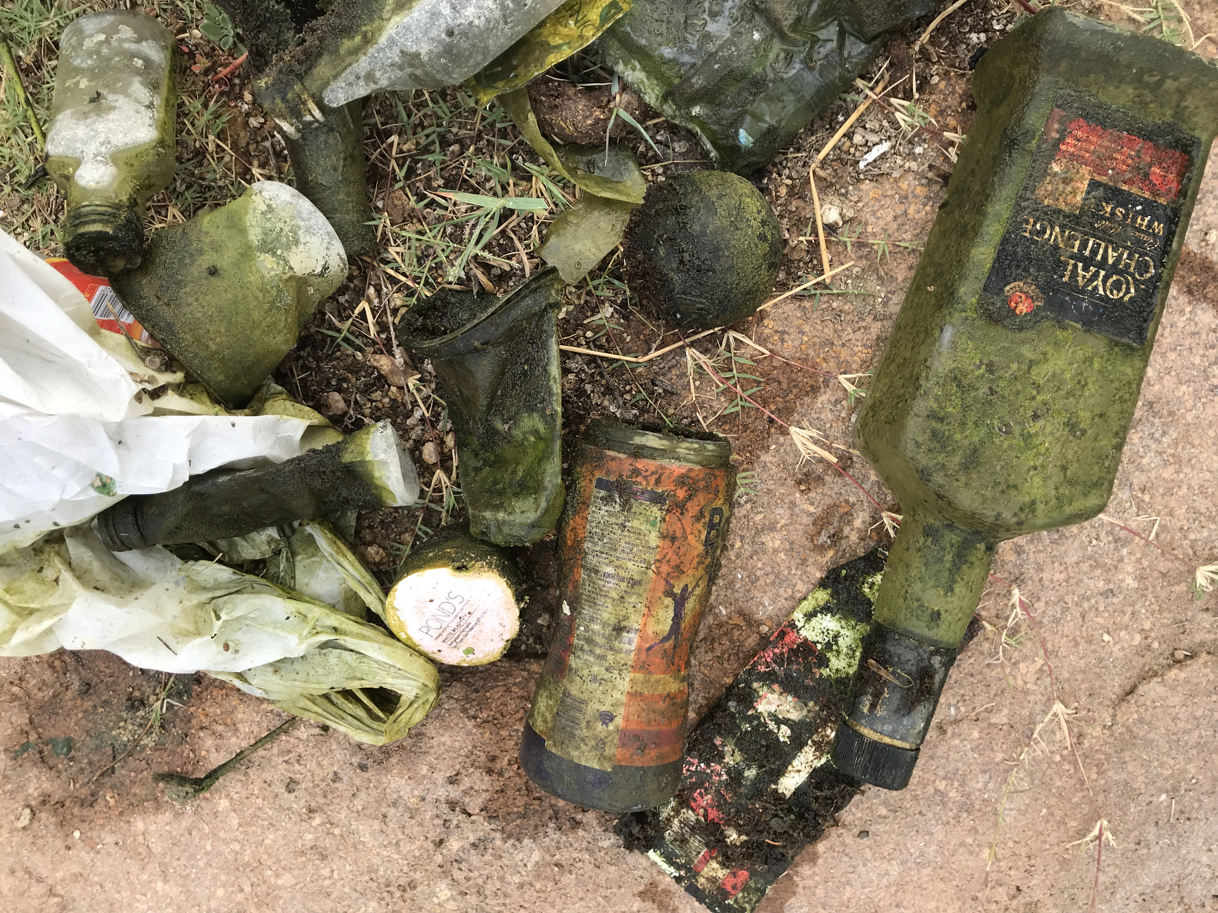 #1 - #5 Cleanup Drives, Ameenpur Lake, Hyderabad, India.